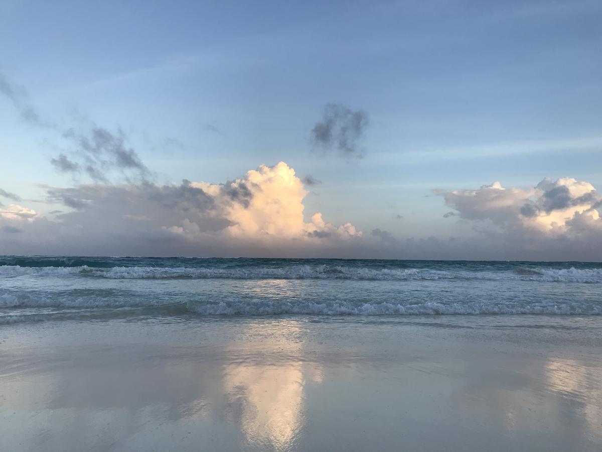 بلايا ديل كارمن Magia Beachside Condo المظهر الخارجي الصورة